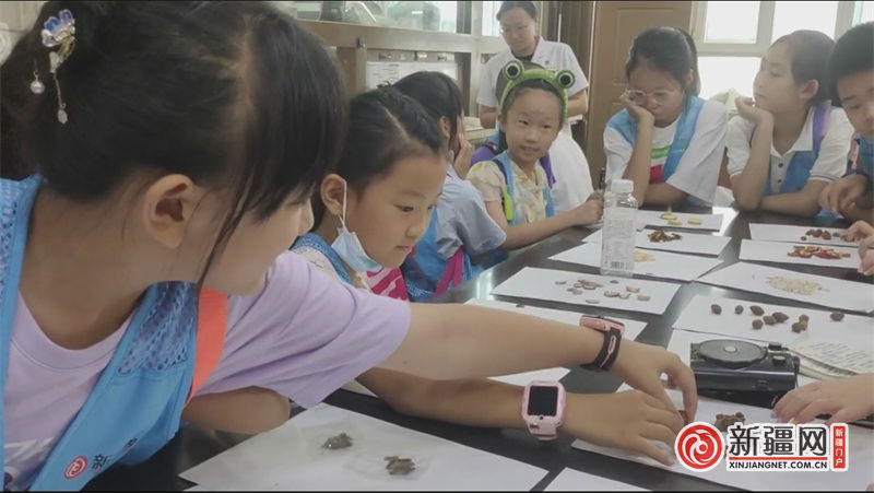 微信圖片_20240811141946