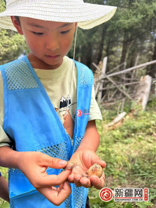 微信圖片_20240818214313