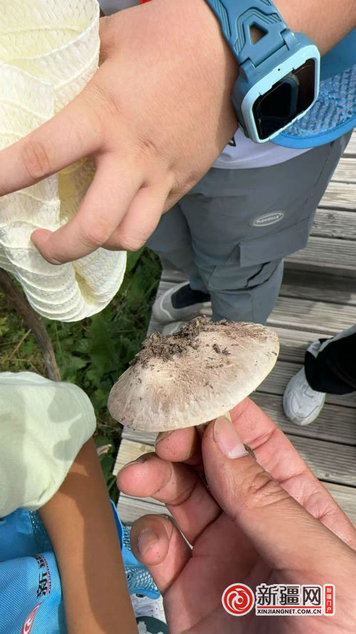 微信圖片_20240818214324