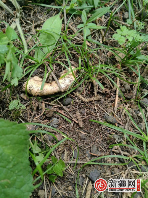 微信圖片_20240818214339