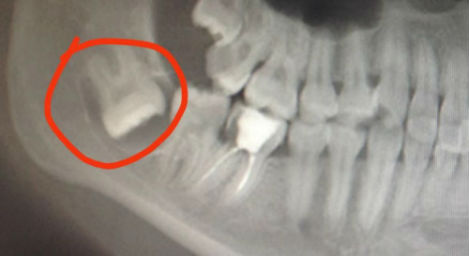 微信圖片_20230410170205